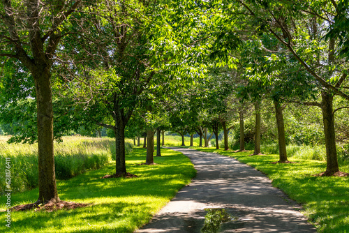 A Tree-lined Path Along the Local Park Trail In Summer