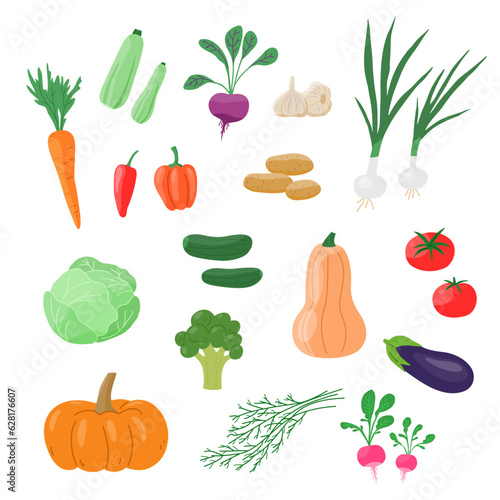 Harvest vegetables set isolated on white. Fresh vegan food. Vegetarian products, healthy cooking ingredients