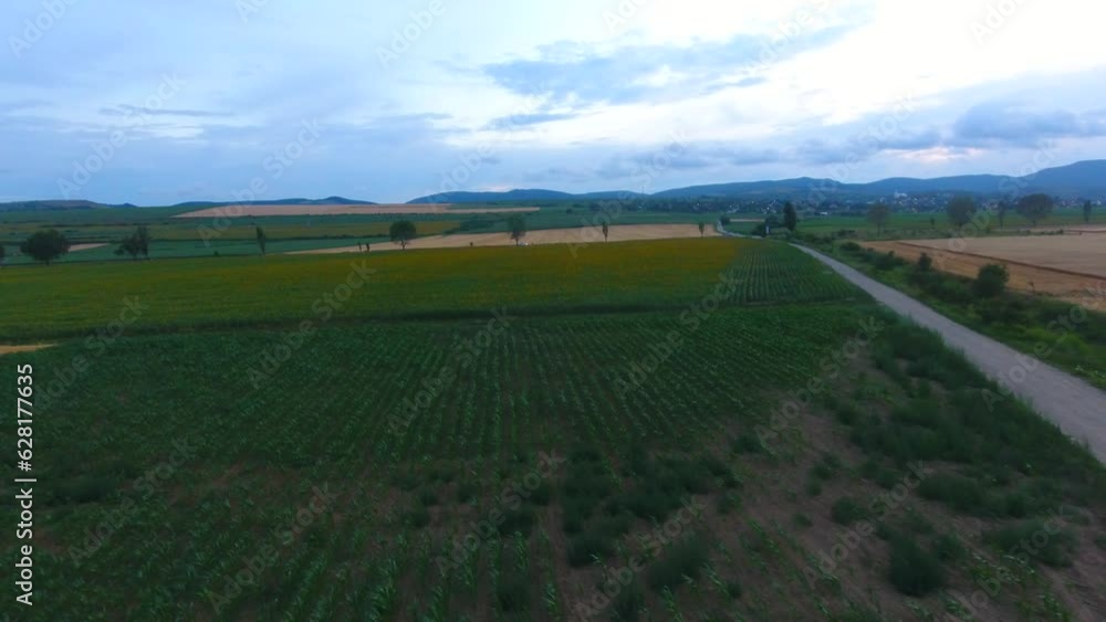 Aerial view of farming fields, summer time Aerial view of farming fields, summer time