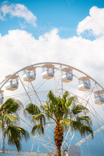 Grande roue de Toulon avec les palmiers au premier plan © flavien