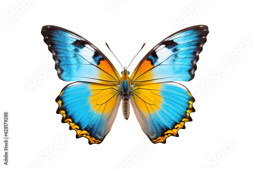 Very beautiful colorful butterfly in flight isolated on white background PNG