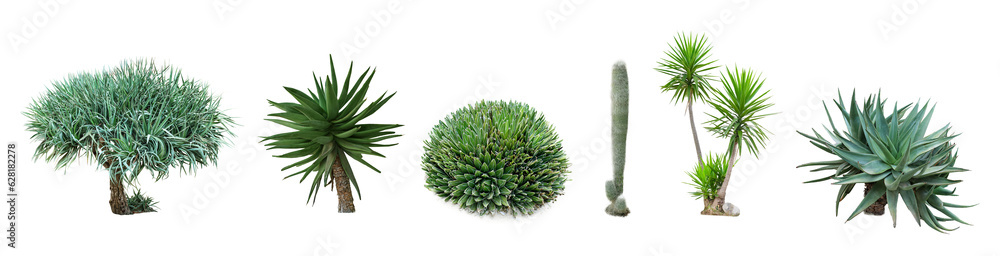 Set of green tropical plants on white background Set of green tropical plants on white background