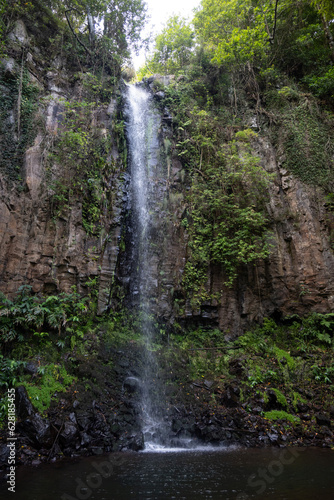 Waterfalls in the deep rain forests of Madeira