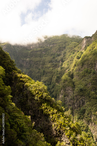 Subtropical jungle in the heart of Madeira, portuguese atlanticIsland with hiker paradise paths