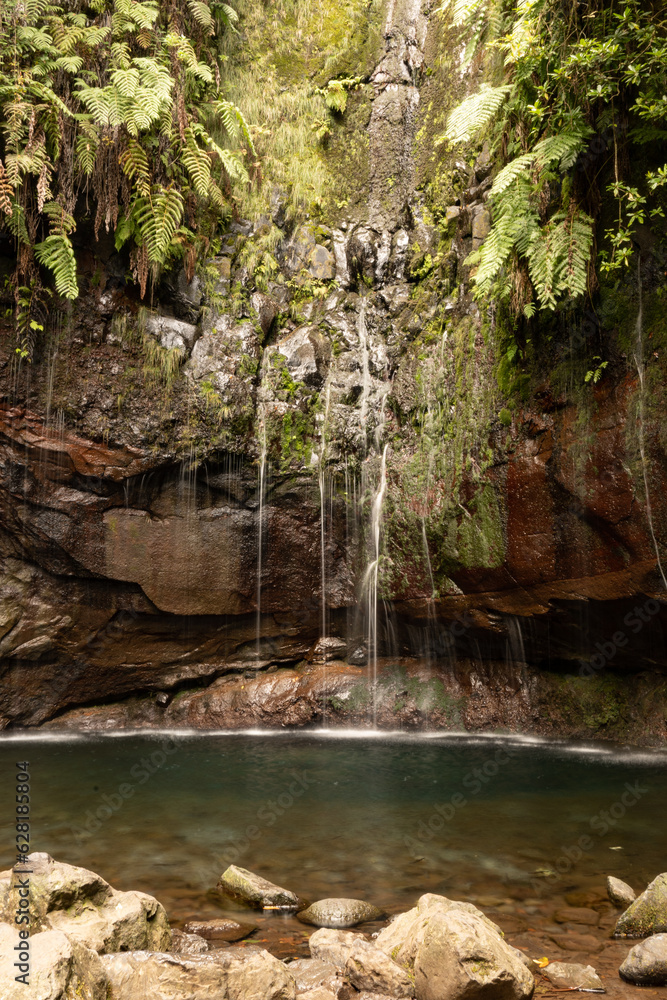 Naklejka premium Waterfalls in the deep rain forests of Madeira