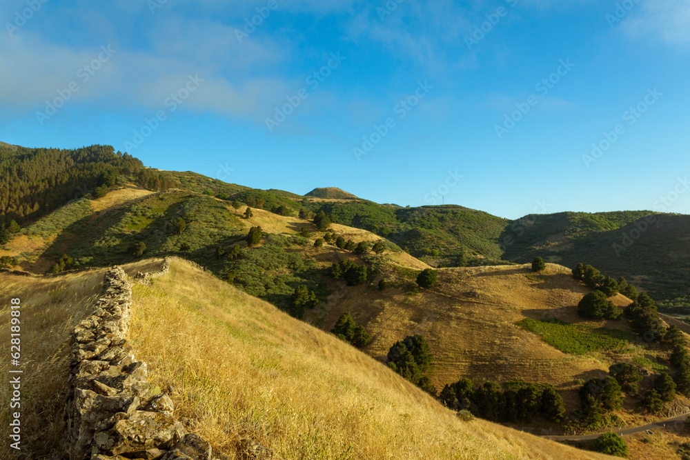 Naklejka premium Paisaje del Lomo del Palo en el municipio de Gáldar en la isla de Gran Canaria, España