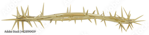 Bild auf Leinwand a 3D artwork of the Crown of Thorns worn by Jesus