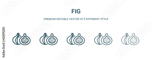 fig icon in 5 different style. Thin, light, regular, bold, black fig icon isolated on white background.