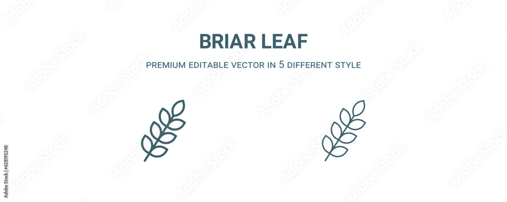 briar leaf icon. Filled and line briar leaf icon from nature collection. Outline vector isolated on white background. Editable briar leaf symbol
