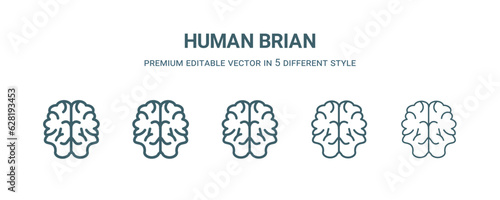 human brian icon in 5 different style. Thin, light, regular, bold, black human brian icon isolated on white background.