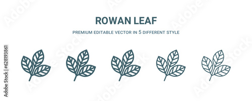 rowan leaf icon in 5 different style. Thin, light, regular, bold, black rowan leaf icon isolated on white background.