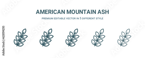 american mountain ash icon in 5 different style. Thin, light, regular, bold, black american mountain ash icon isolated on white background.