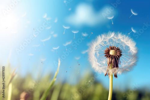 Close-up of a dandelion in the wind