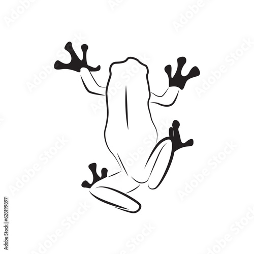 Cute Frog vector isolated on white. Tree frog vector.