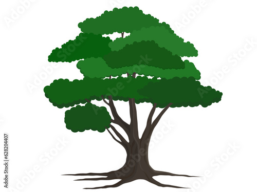 Big tree with white background.