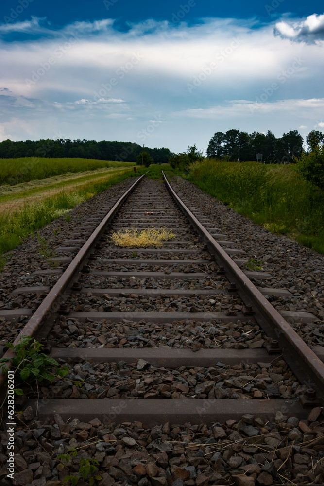 Low angle view of abandoned railroad tracks