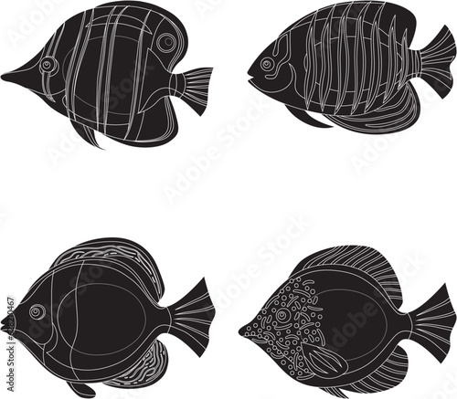 set of fishes