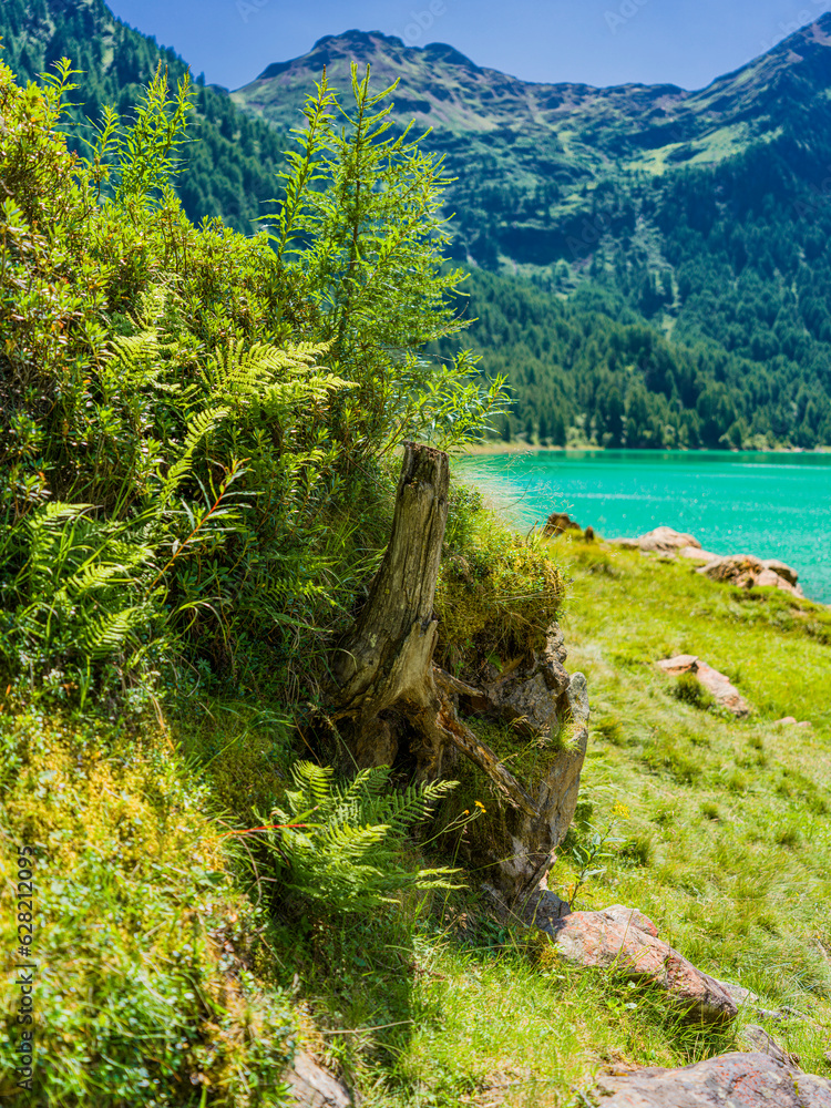 Lago di pian palù - autonome Provinz Trient - Smaragdgrüner See