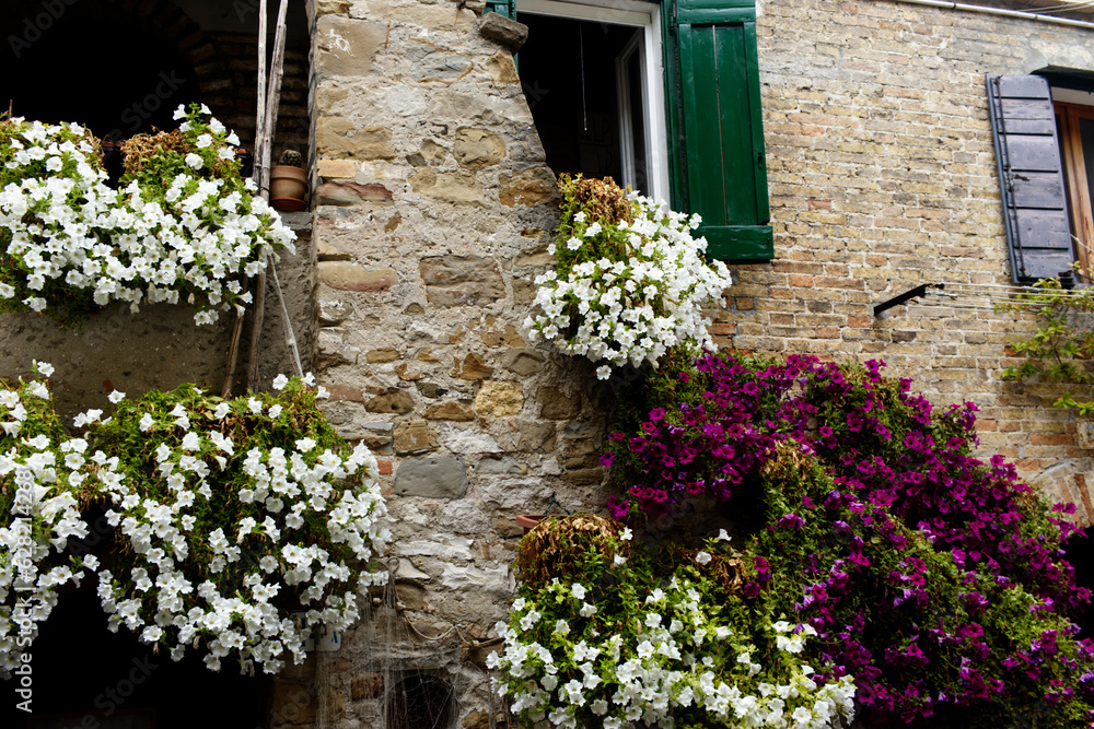 Mediterranean house in Italy full of colorful flowers