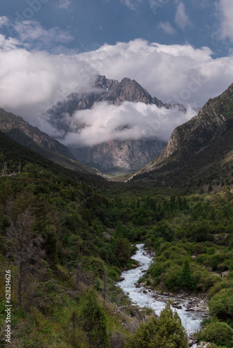 mountain river in the mountains