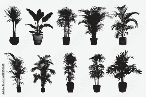 Exquisite Collection of Palm Tree Silhouettes with Pots, Enchanting Tropical Oasis in Vector Art