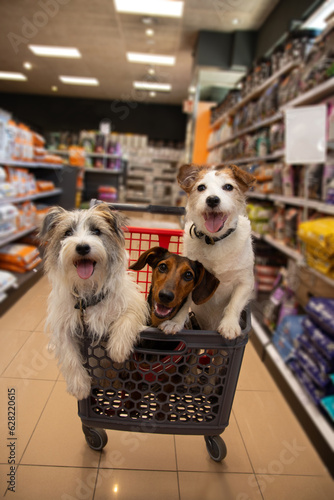 Cuadro en lienzo Three happy puppy dogs inside of a shopping trolley in a pet store