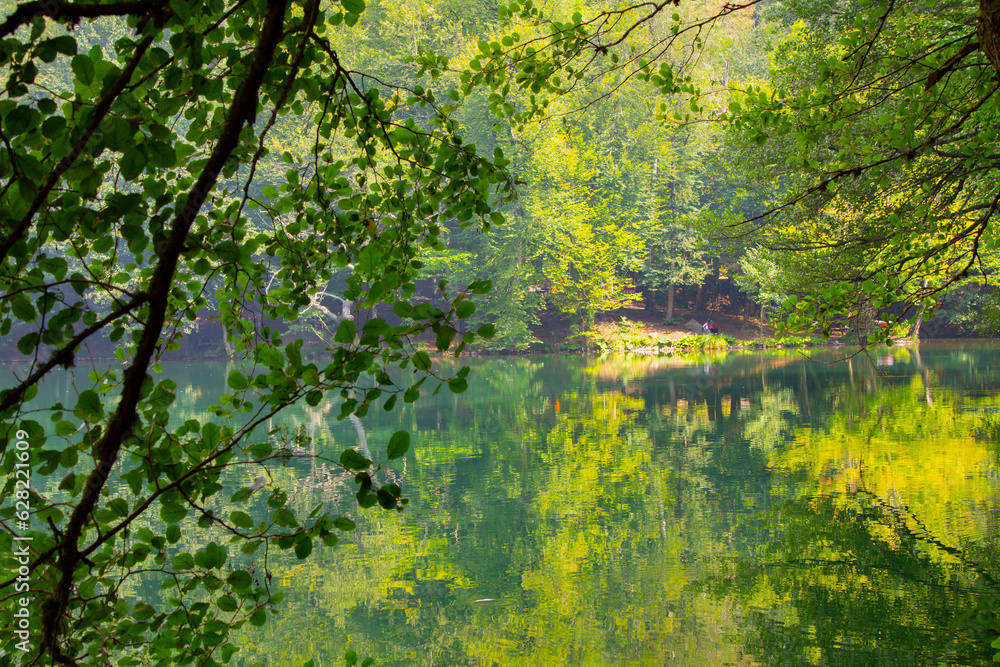 Natural green mountain view in Seven Lakes (Yedigoller) National Park, Bolu, Turkey Natural green mountain view in Seven Lakes (Yedigoller) National Park, Bolu, Turkey