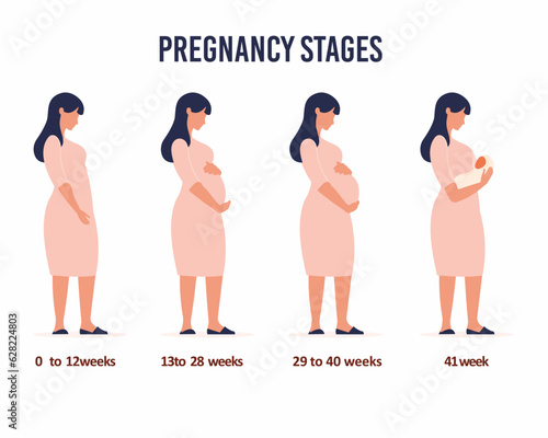 Female before, during and after childbirth The main stages of pregnancy. Changes in the female body during pregnancy week after week