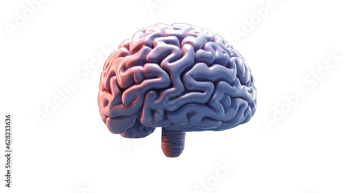 3D brain model in pink and blue shades isolated on transparent background