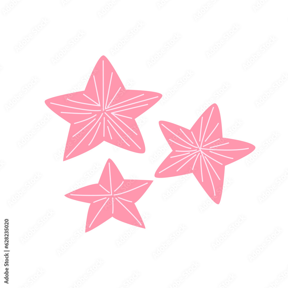Starfish mollusk vector flat illustration on isolated background. Cute marine underwater animal
