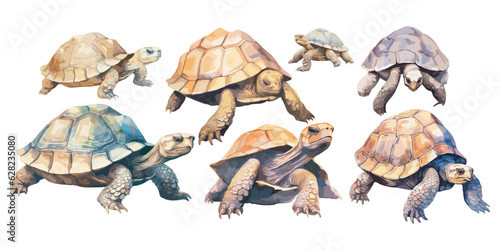 Watercolor Tortoise clipart for graphic resources