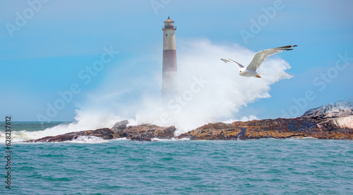 Rocky coastline on Diaz Point with power sea wave - Amazing red and white lighthouse with seagull flying - Diaz Point, Luderitz, Namibia