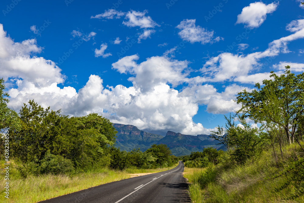 Fototapeta premium Road between trees to the mountain