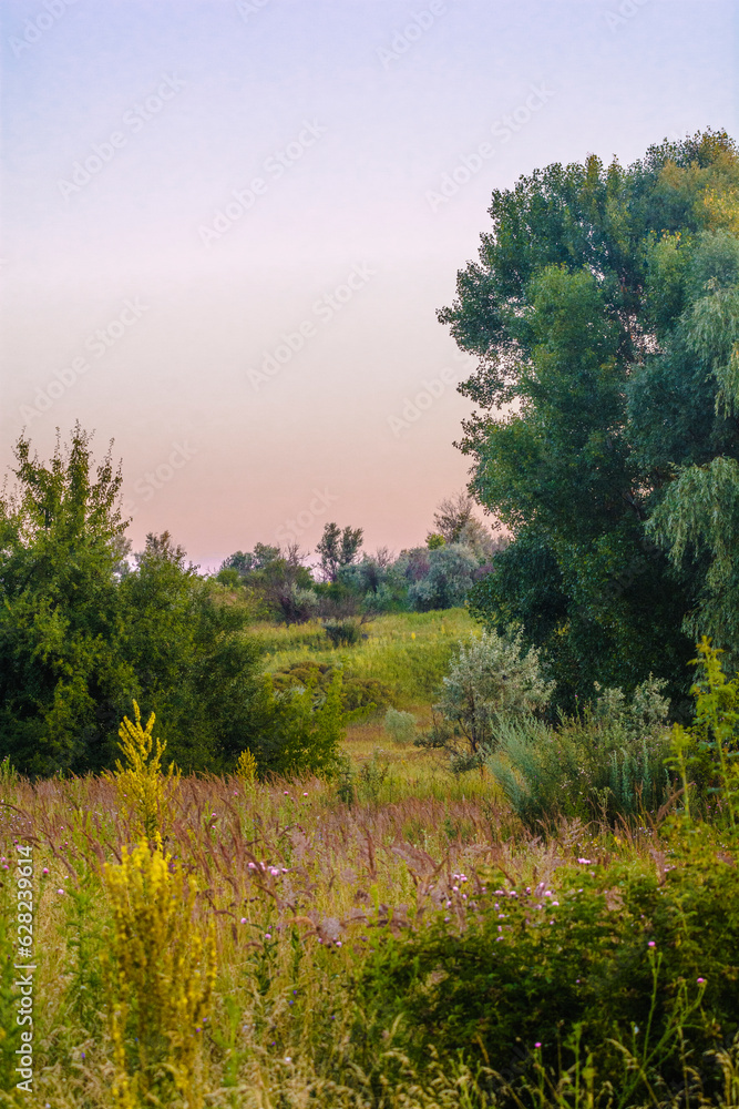 morning in the mountains