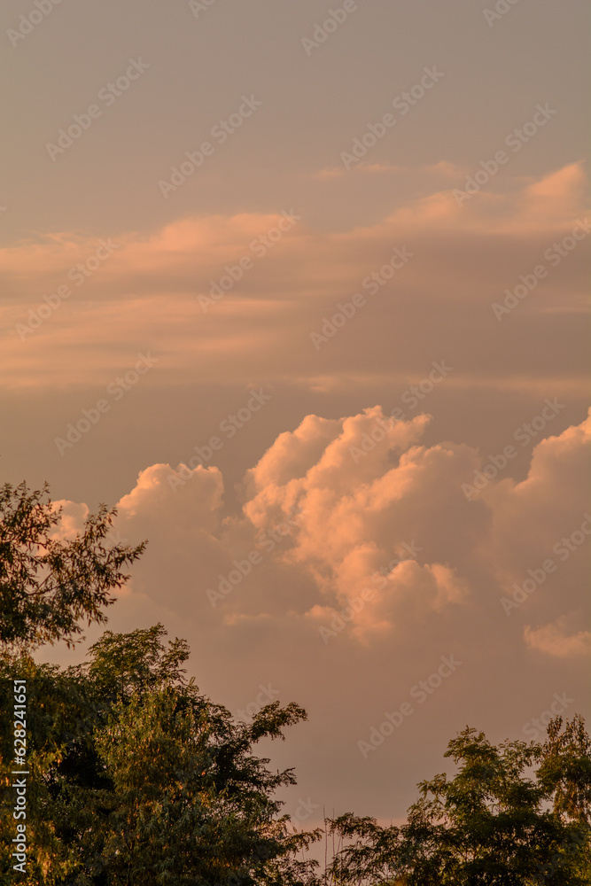Fototapeta premium white clouds in the sky, illuminated by a bright orange sun, during sunset, with treetops in the background