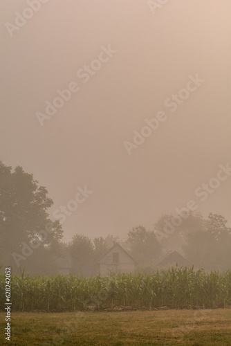 misty morning in the field