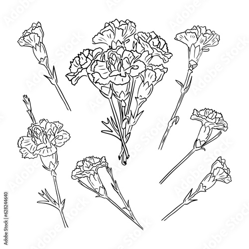Set of hand drawn sketch cloves. Unique vector outline doodle illustration. Black flowers and bouquet isolated on white background. Perfect for coloring pages, tatoo, background, wrapping paper