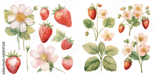 Watercolor Strawberry clipart for graphic resources