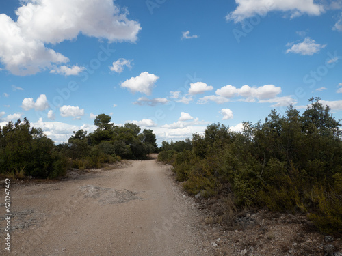 Vistas en la ruta de senderismo de la Hoz de Alarc  n  Hoz de Alarc  n  Alarc  n  Cuenca  Castilla la Mancha  Espa  a