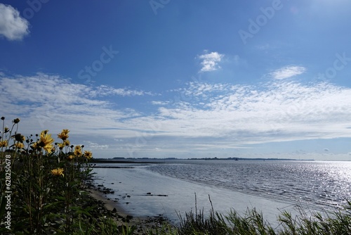 landscape at Elbe river in Schleswig Holstein  Germany