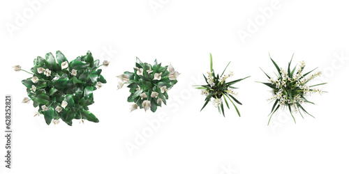Collection of top view plants in ceramic pots isolated on transparent background. 3D rendering. PNG