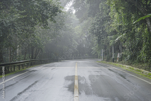 road in the forest , after rainny