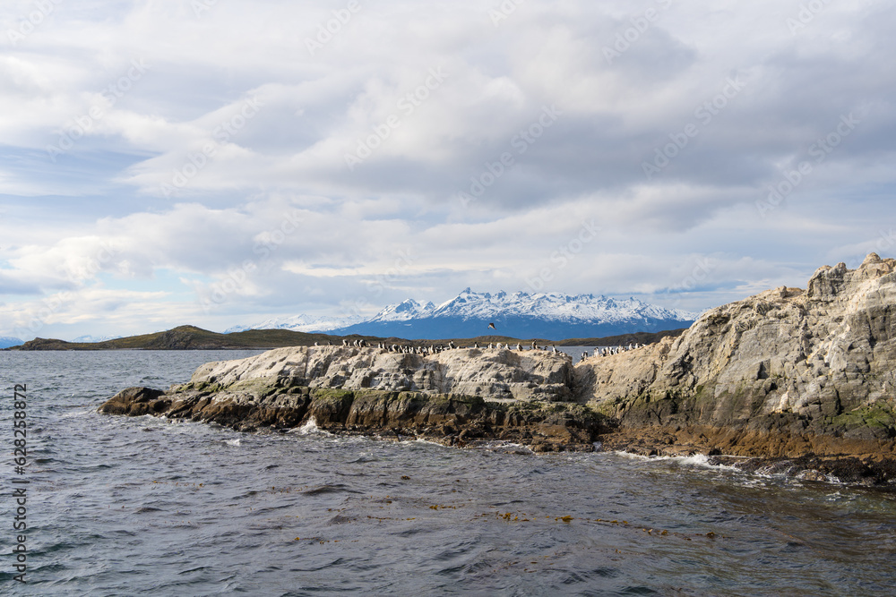 BIRDS ISLAND, BEAGLE CHANNEL. USHUAIA, LAND OF FIRE. ARGENTINE PATAGONIA. BIRD FLYING. SAILING THE BEAGLE CHANNEL. BIRDS ISLAND, BEAGLE CHANNEL. USHUAIA, LAND OF FIRE. ARGENTINE PATAGONIA. BIRD FLYING. SAILING THE BEAGLE CHANNEL.