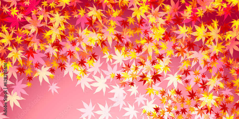 紅葉 もみじ 秋 背景 紅葉 もみじ 秋 背景