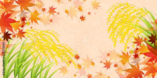 米　稲　秋　風景　背景