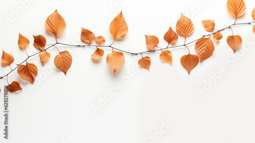 Delicate Fall and Autumn Leaves FlatLay - Isolated on White Background with Stems and Branches - Generous Copy Space in Clean CozyCore Aesthetic - Generative AI photo