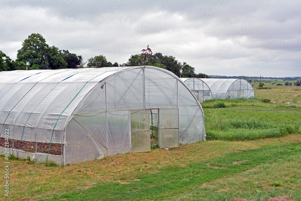 the greenhouse is a large vegetable garden with green plants in the greenhouse