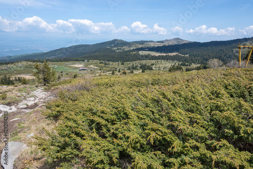 Spring view of Konyarnika area at Vitosha Mountain, Bulgaria