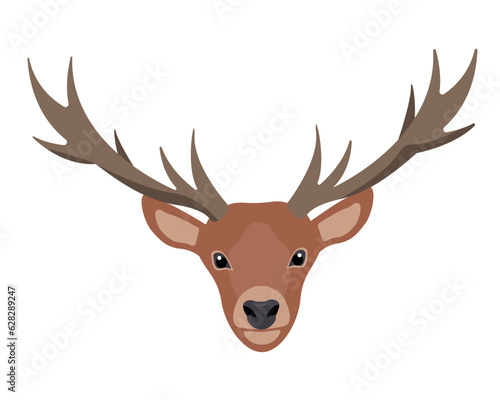 Horny Deer head. True Deer, Red Deer, Fallow Deer face icon. Wild forest animal of Europe, America and Scandinavia with big horns. Flat vector illustration isolated on white background.