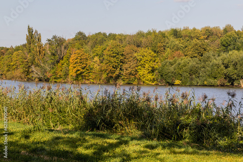 Mlynsky rybnik pond near Cesky Brod town, Czech Republic